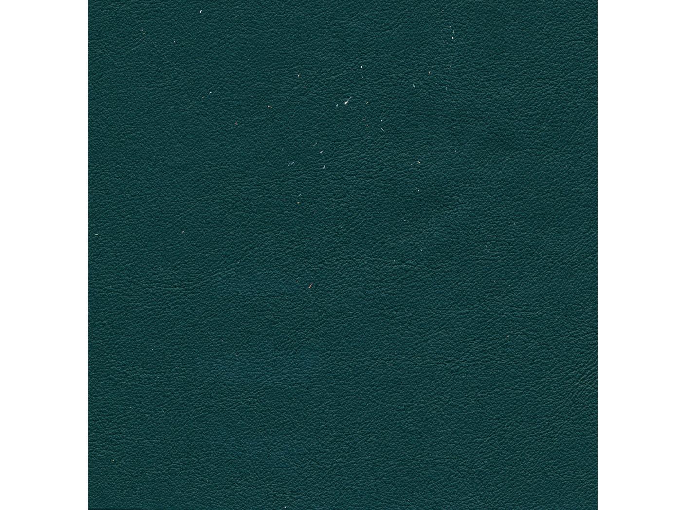 Linea 653 Pino Linea 653 Pino