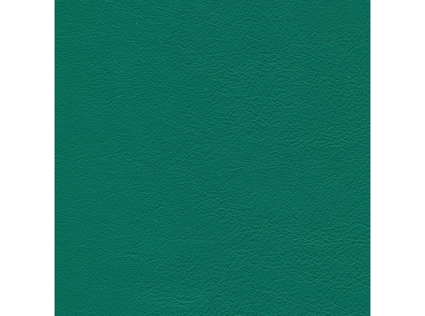 Linea 658 Foresta Linea 658 Foresta