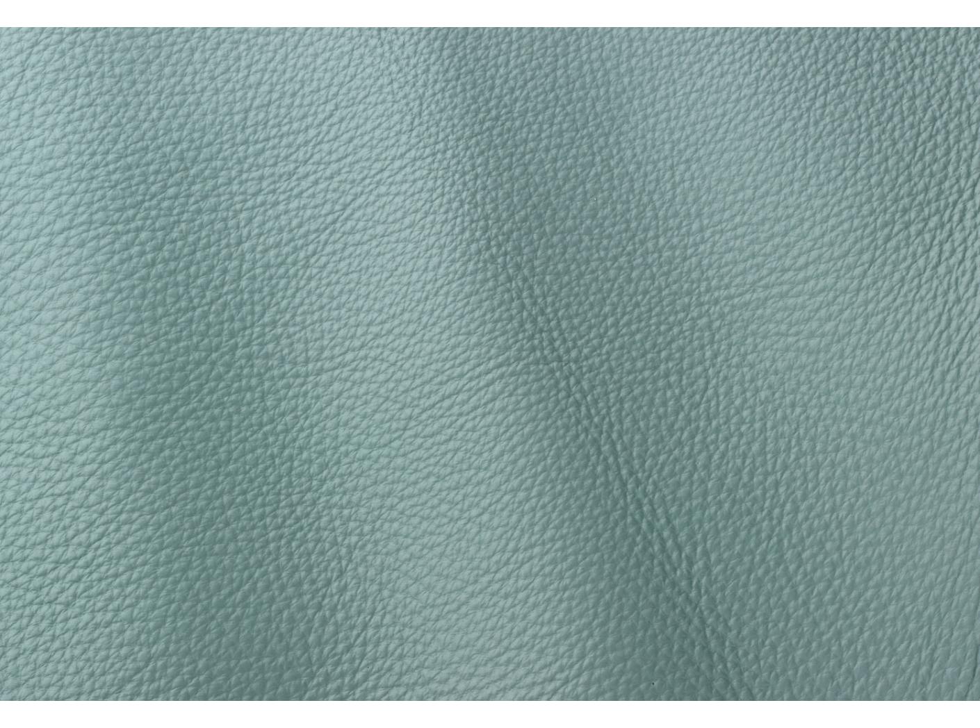 Prescott EU 265 Lichene Prescott EU 265 Lichene