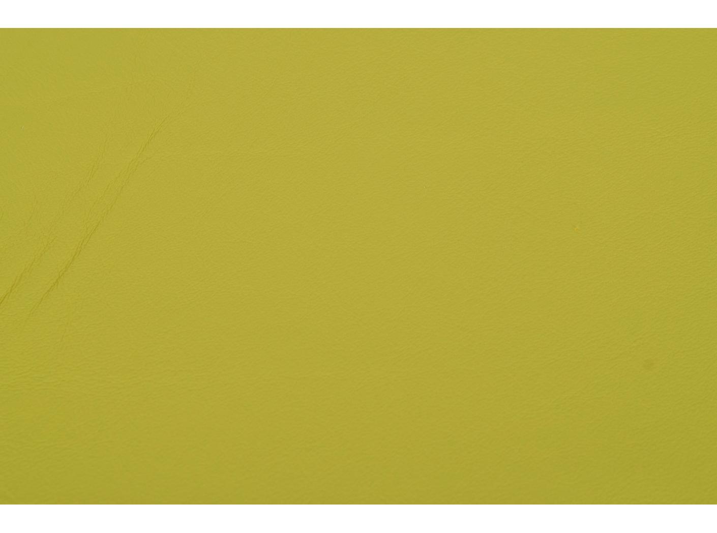 Linea 684 New Celery Linea 684 New Celery