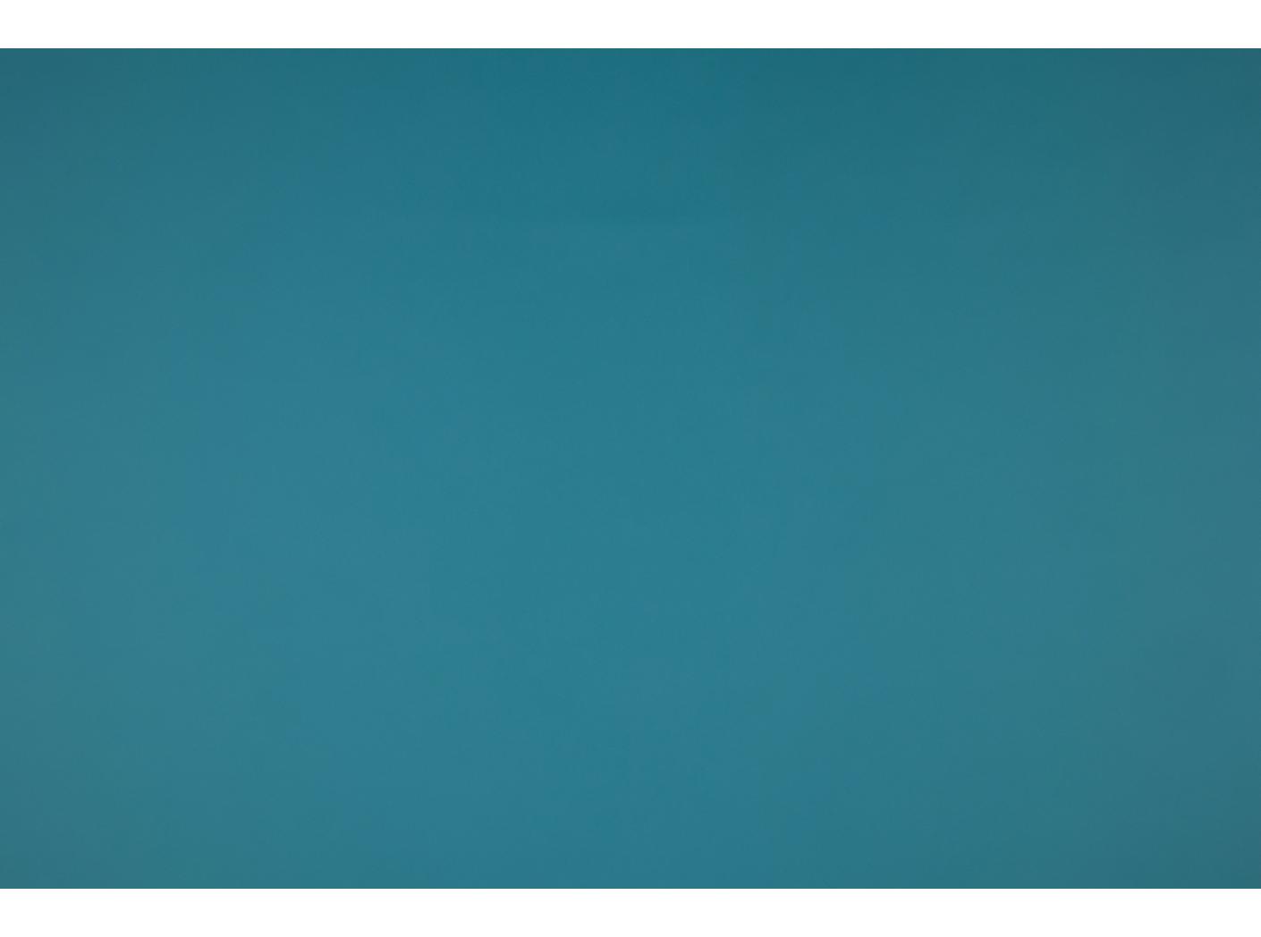 Illusion PU 65066 Bird Illusion PU 65066 Bird