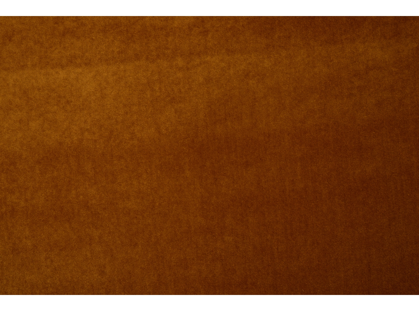 Grand Lazio Velvet 0098 Lion Grand Lazio Velvet 0098 Lion