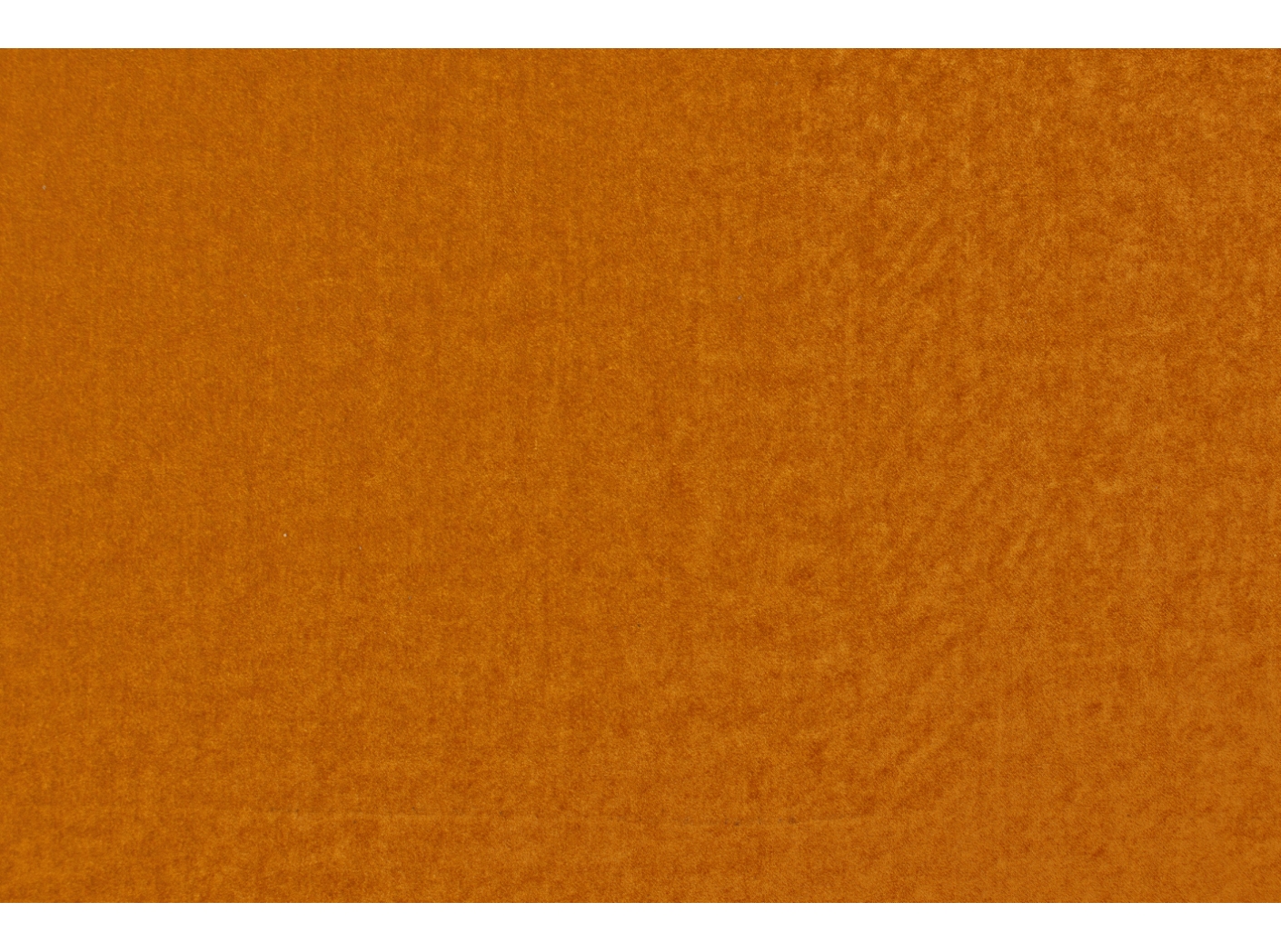Grand Lazio Velvet 0098 Lion Grand Lazio Velvet 0098 Lion