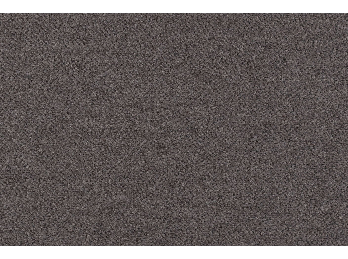 Barnum 12 Warm grey Barnum 12 Warm grey