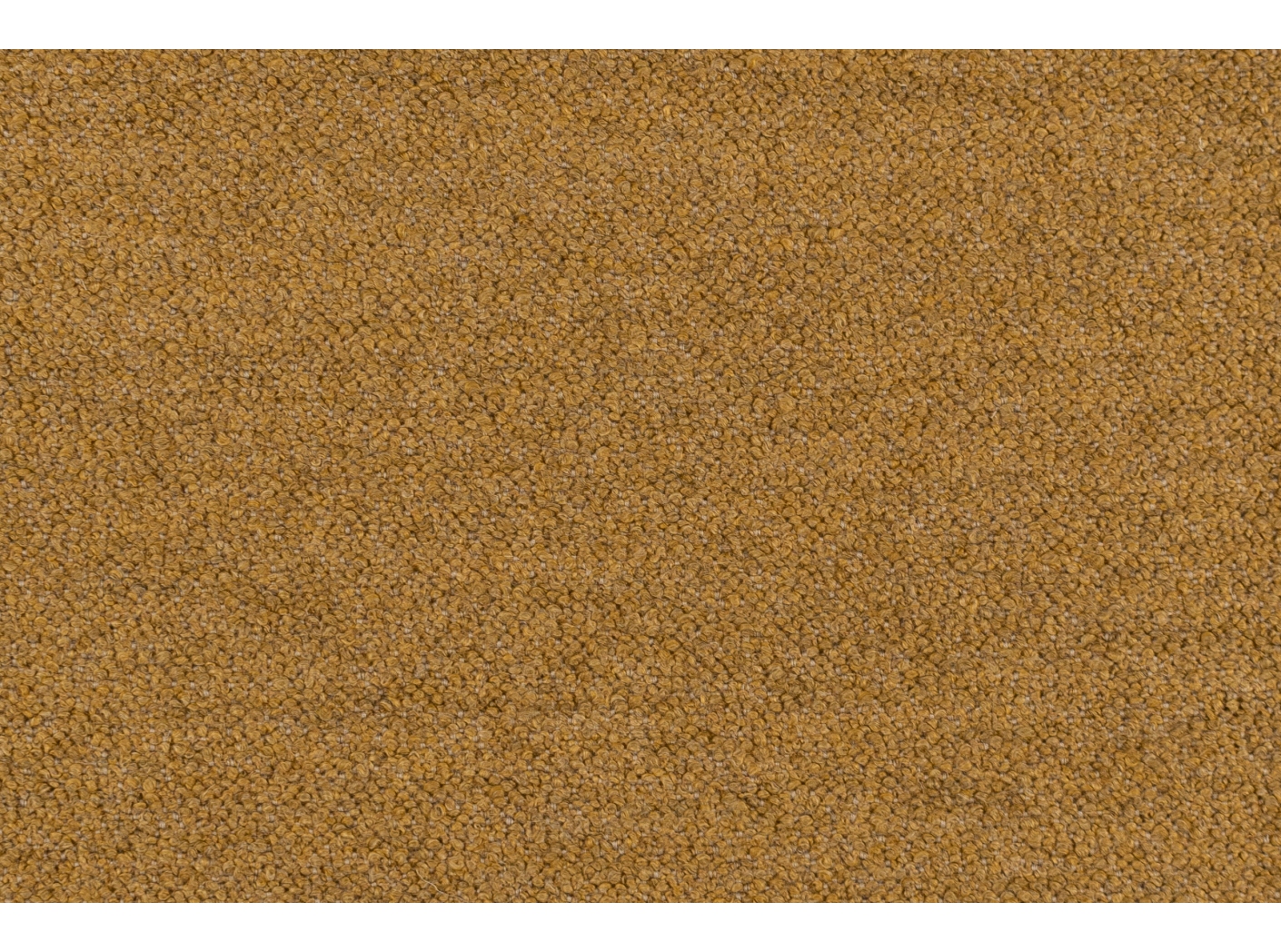 Barnum 5 Ocher Barnum 5 Ocher