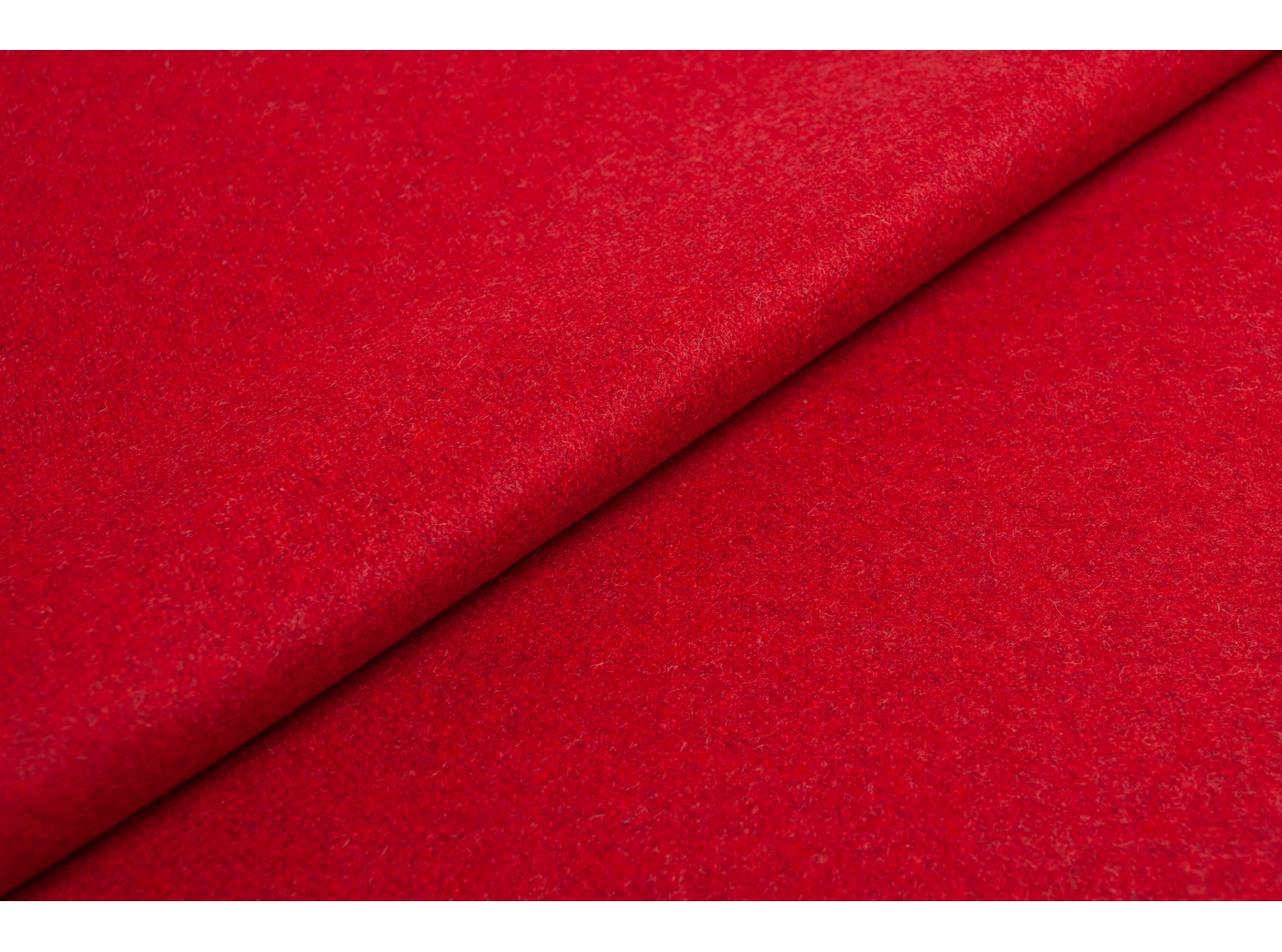 Wooly 2011 tulip Wooly 2011 tulip