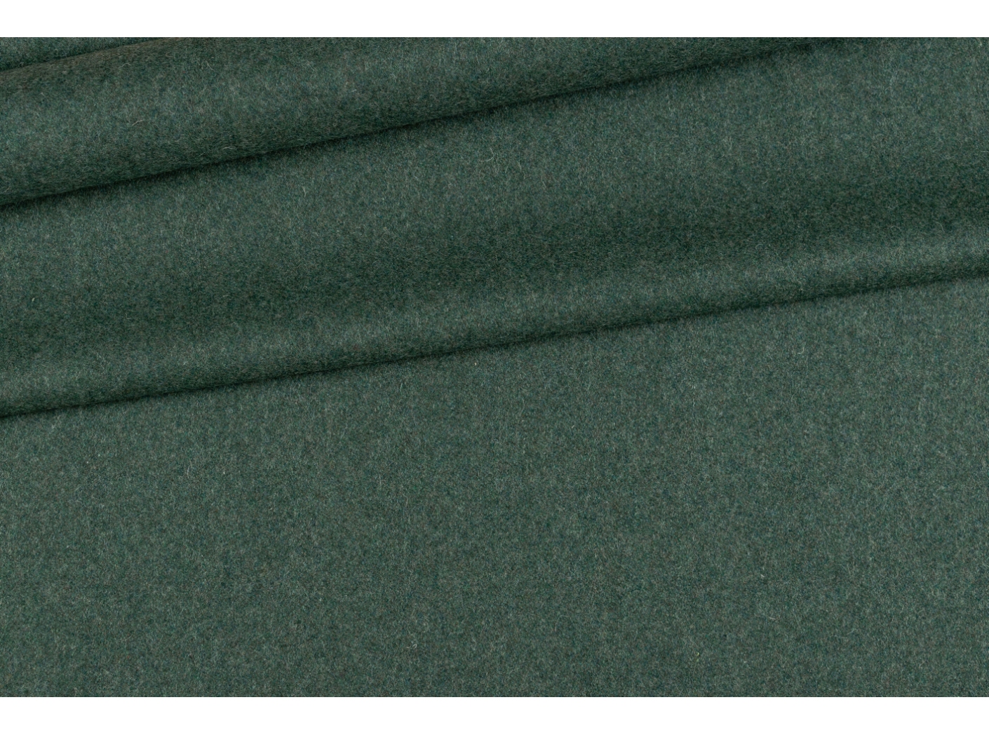 Wooly 840069 Juniper Wooly 840069 Juniper