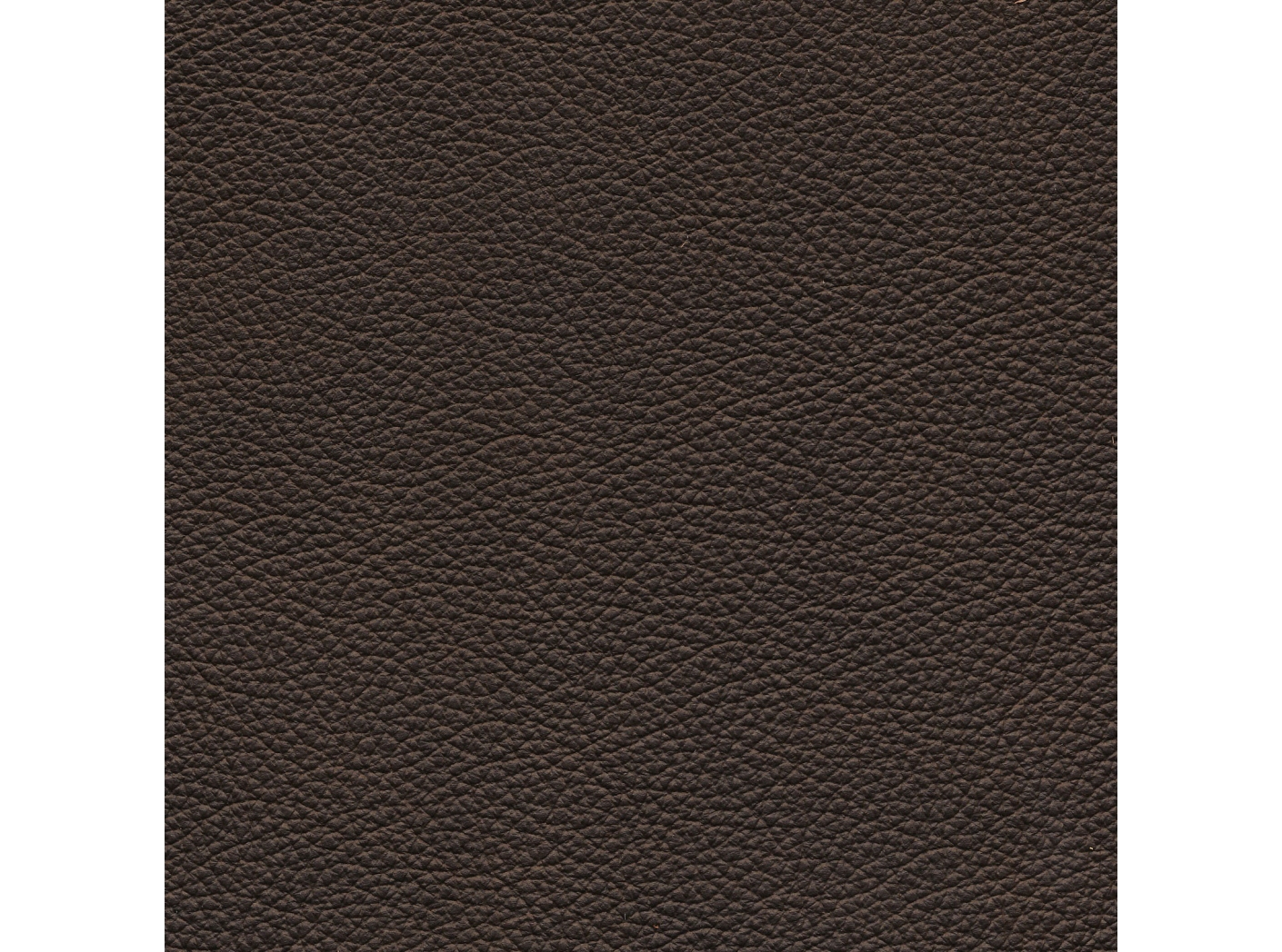 Lambada brown 02294 Lambada brown 02294