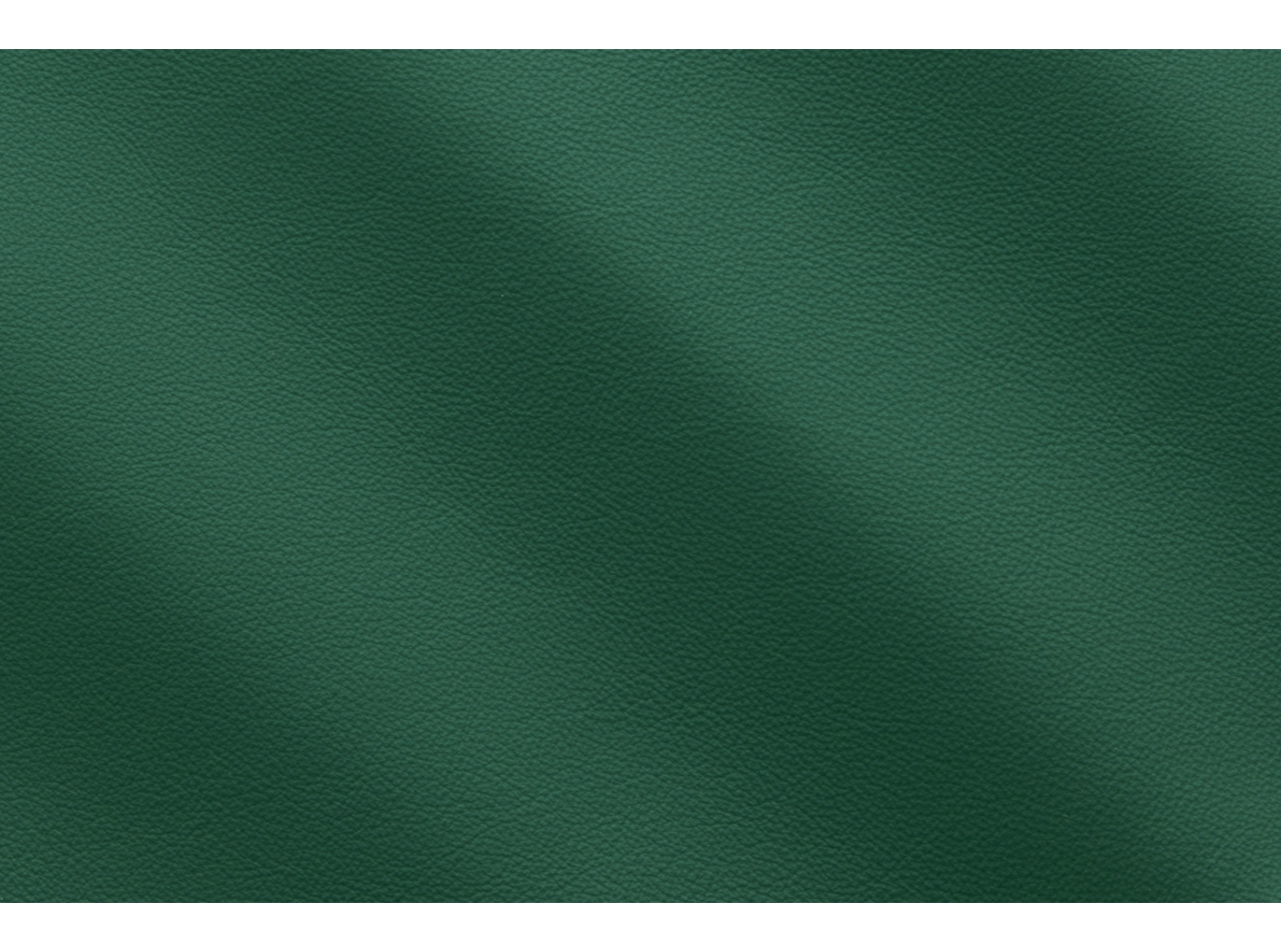 Linea 658 Foresta Linea 658 Foresta