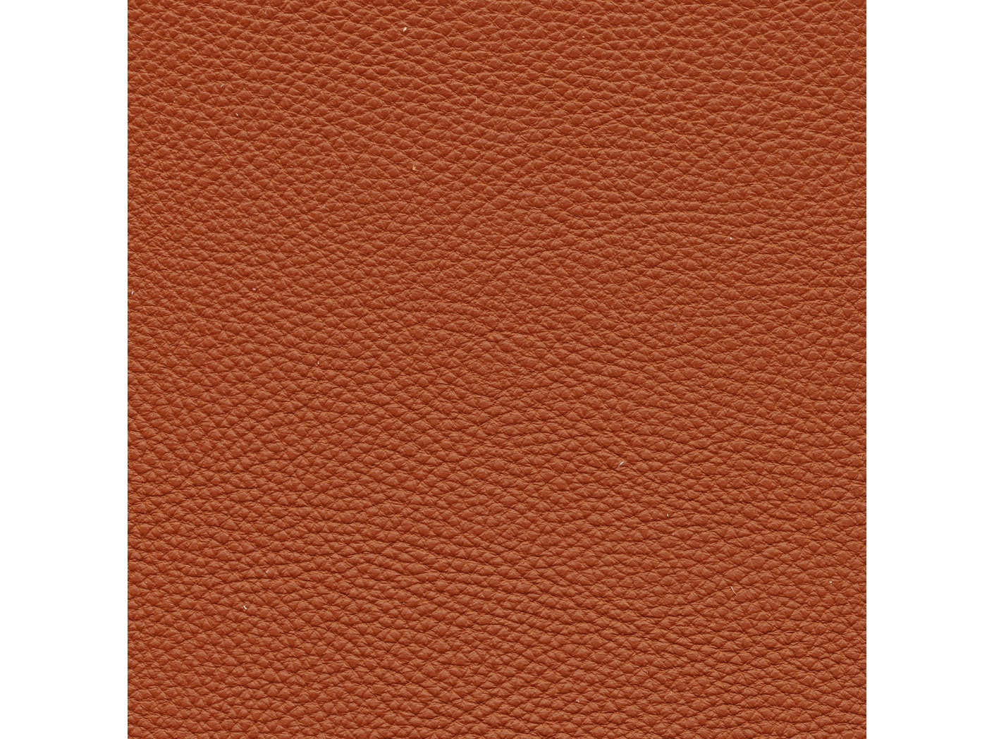Prescott EU 228 Cotto Prescott EU 228 Cotto