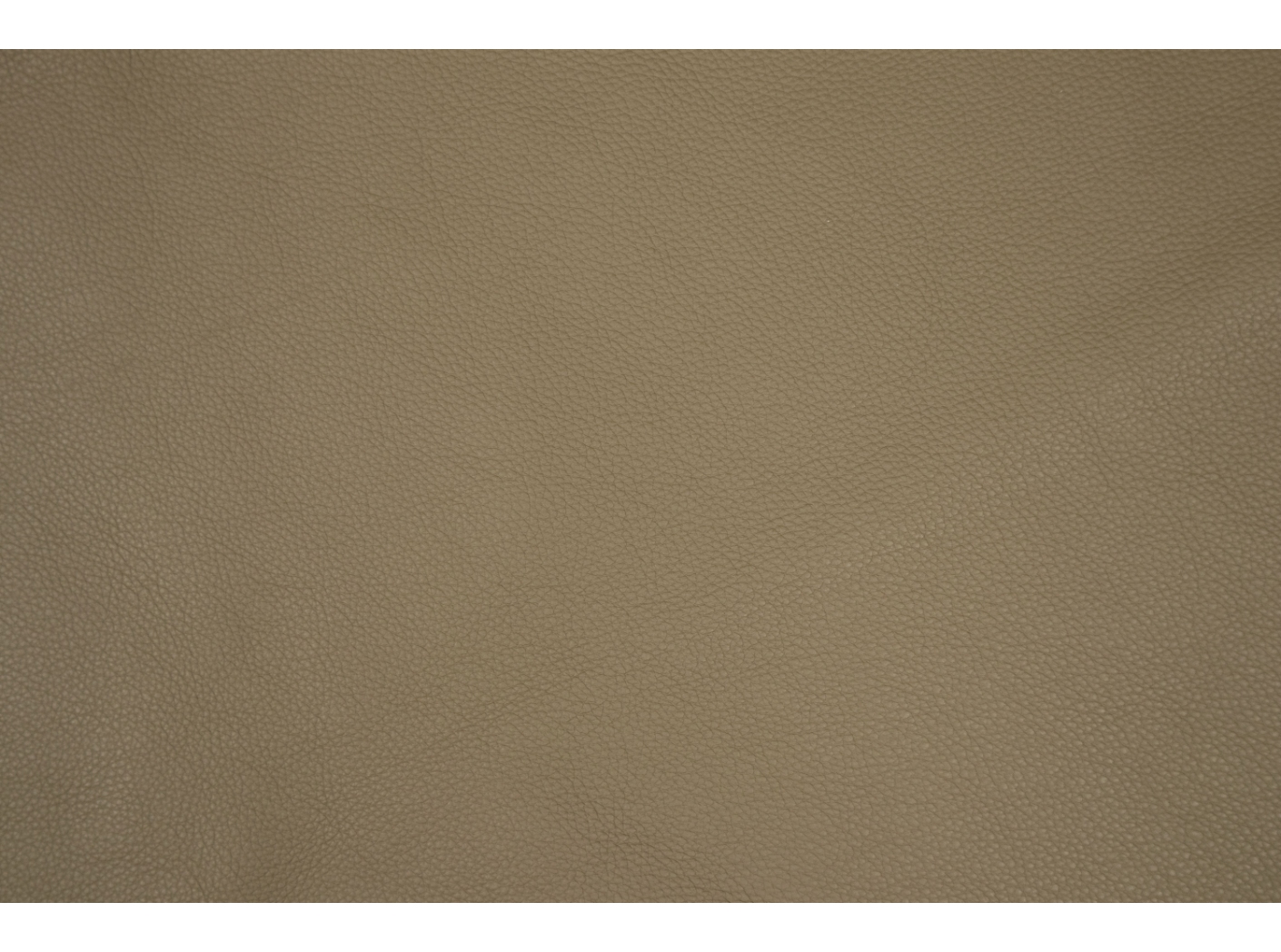Prescott SA 4770 Olive Prescott SA 4770 Olive