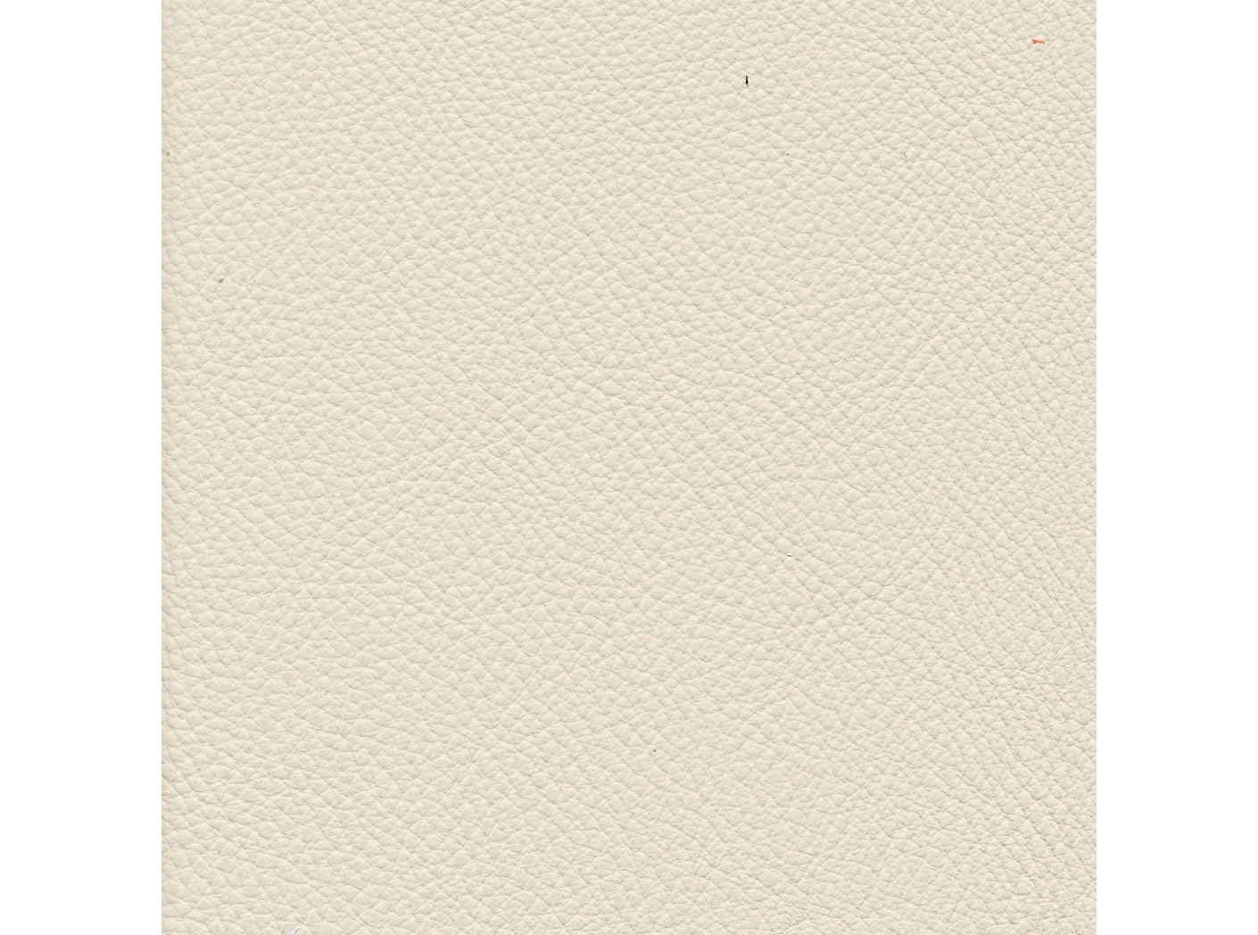 Prescott SA OEKO-TEX 212 Papyrus Prescott SA OEKO-TEX 212 Papyrus
