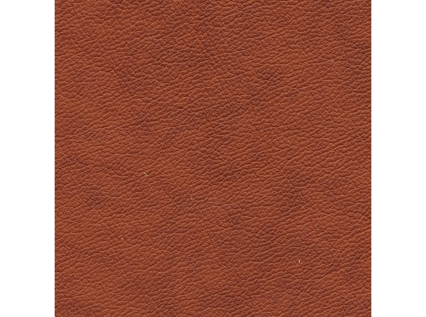 Lambada OEKO-TEX 2316 Cognac 2-tone Lambada OEKO-TEX 2316 Cognac 2-tone