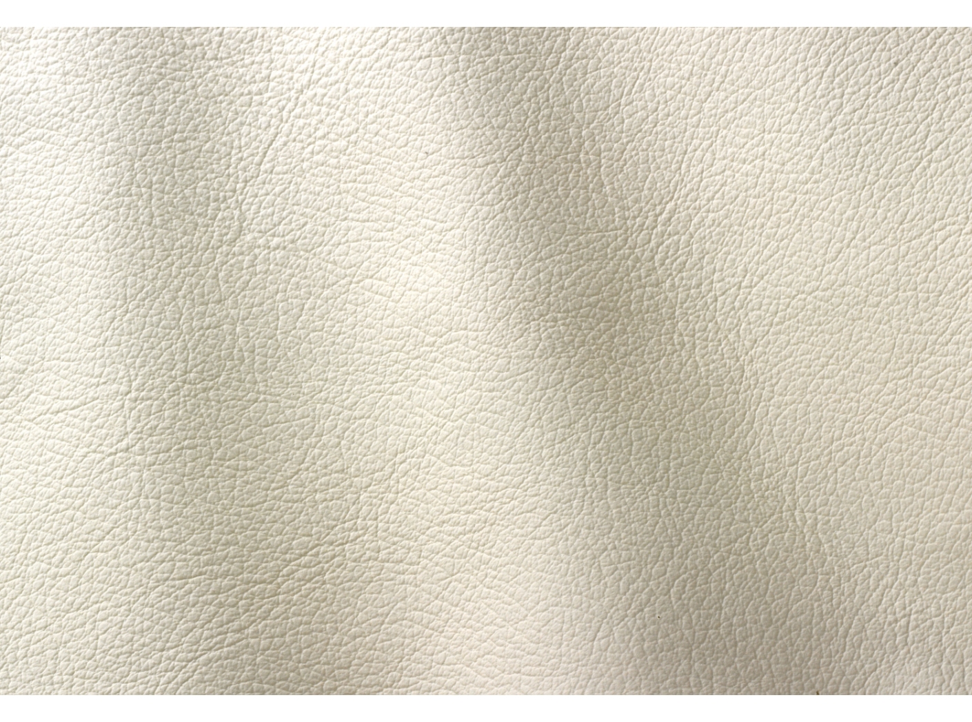 Ocean 427 Milk Ocean 427 Milk