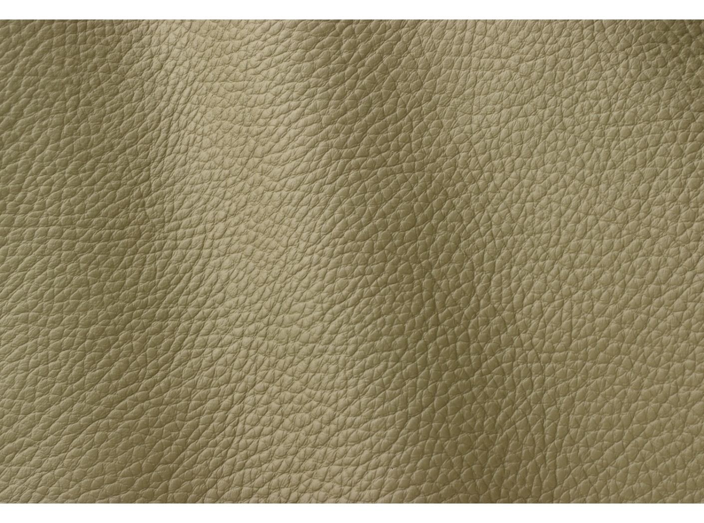 Atlantic 546 Olive Atlantic 546 Olive