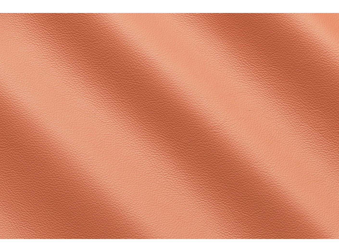Life Coral IC001837 Life Coral IC001837