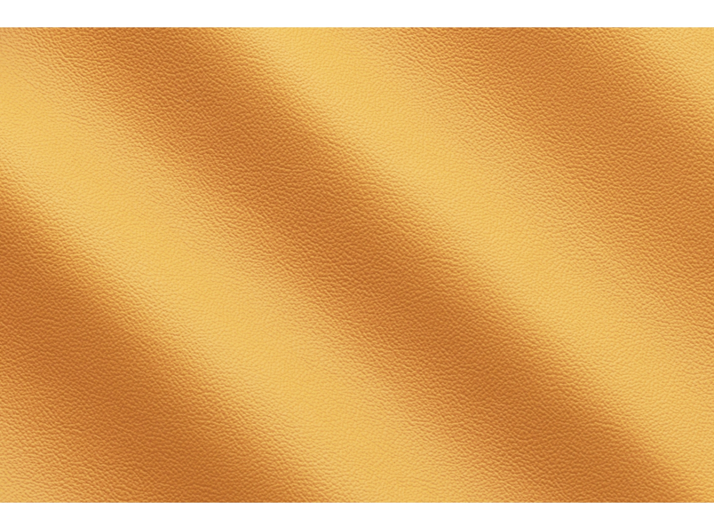 Life Pumpkin IC001819 Life Pumpkin IC001819