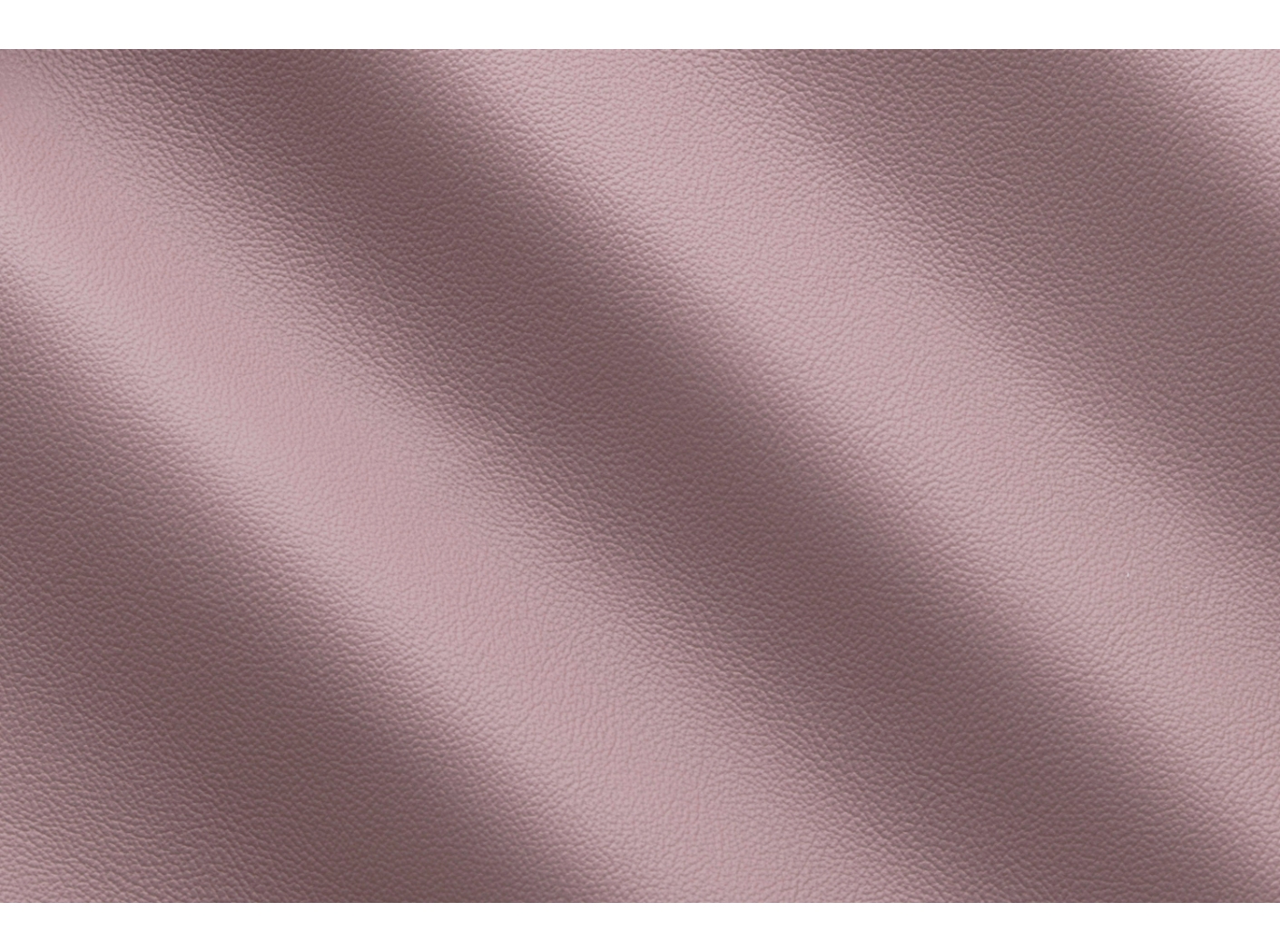 Life Mauve IC001815 Life Mauve IC001815