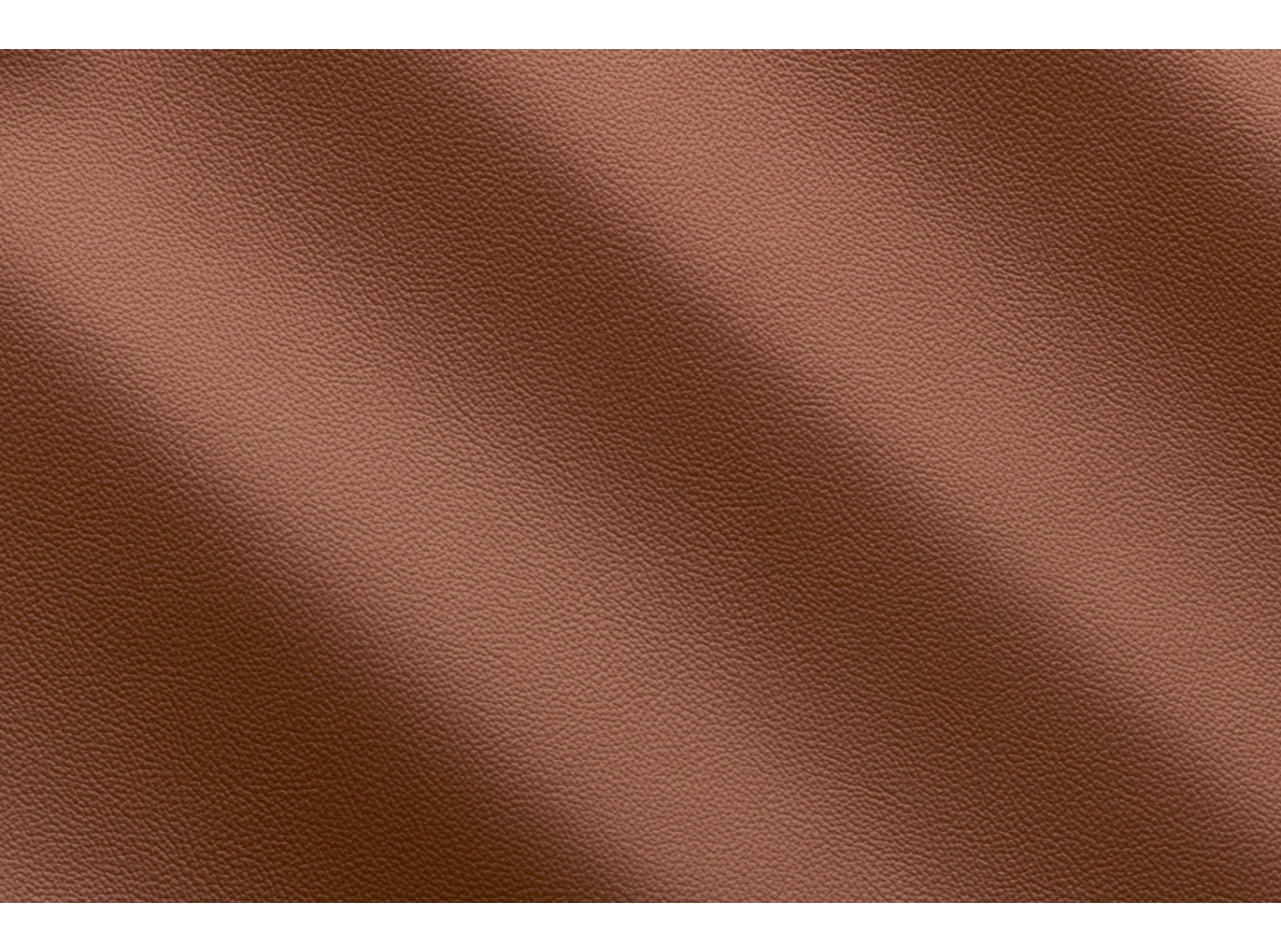 Life Hazelnut IC001839 Life Hazelnut IC001839