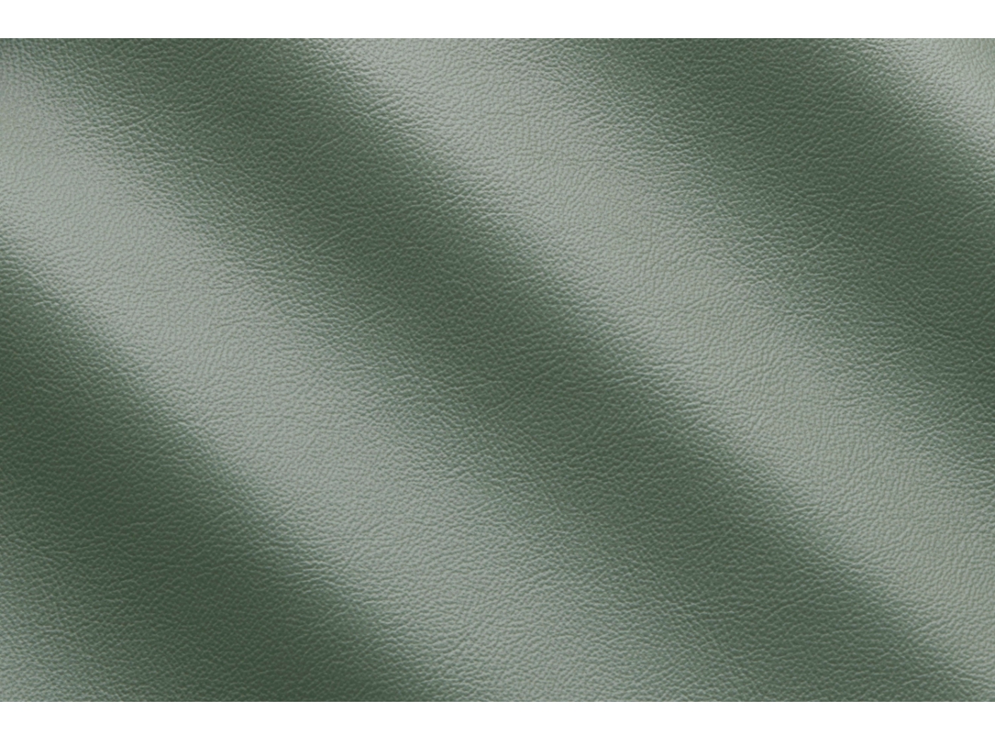 Life Olive IC001822 Life Olive IC001822
