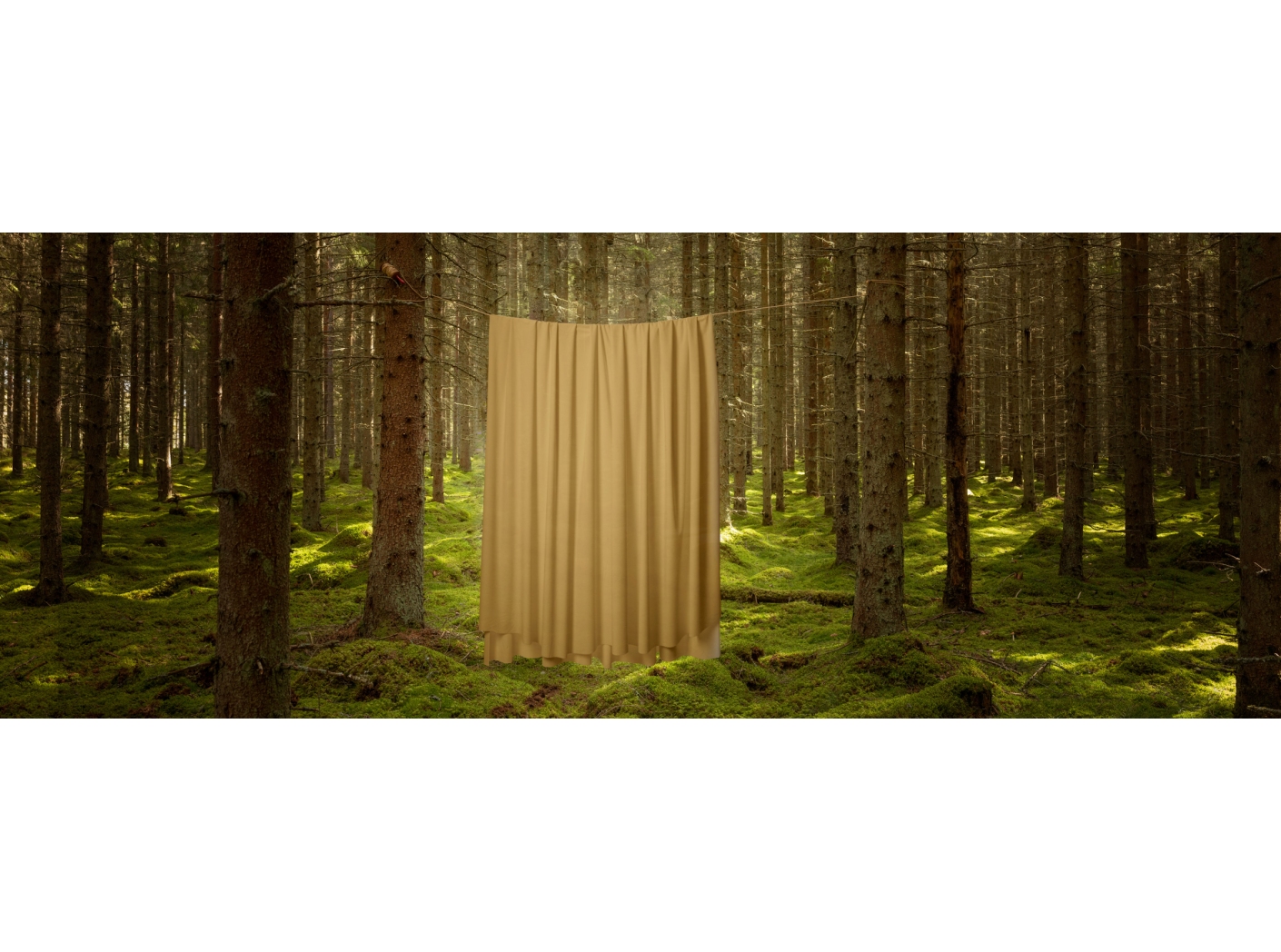Gardin Roma Velvet FR 62 Mustard 300 cm Gardin Roma Velvet FR 62 Mustard 300 cm
