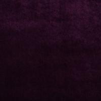 Grand Lazio Velvet 00V9 Violet