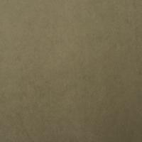 Grand Lazio Velvet 0016 Light green