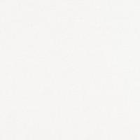 Generation 139 Off white