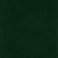 Ritz 6726 dark green