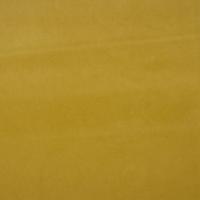 Ritz 6100 light green