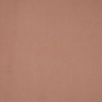 Ritz 2120, white rose