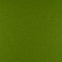 Wooly 2079 green