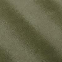 Mistral IC011011 Sage