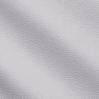 Prescott EU 301 Dash