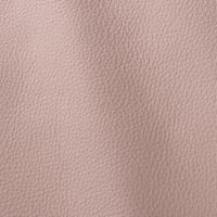 Prescott EU 237 Pill