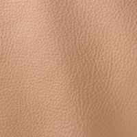 Prescott EU 225 Coriander