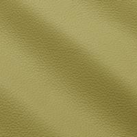 Prescott EU 294 Lime