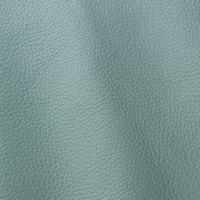 Prescott EU 265 Lichene