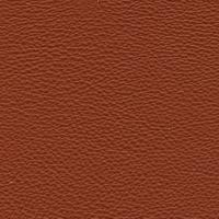 Prescott EU 289 Hazelnut