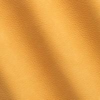 Kairos 1707 Duck Bill