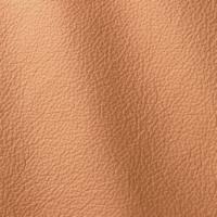 Ocean 411 Nocciola