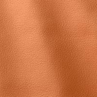 Ocean 412 Arancio