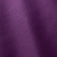 Ocean 451 Purple