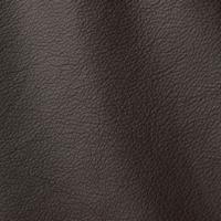 Ocean 421 Topo