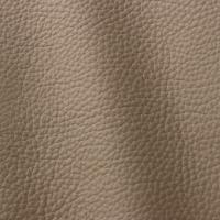 Atlantic 508 Tortora