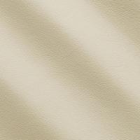 Life Buff IC001804