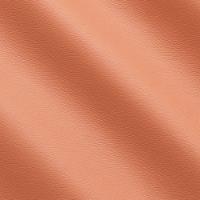 Life Coral IC001837