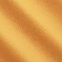 Life Pumpkin IC001819