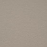 Oxidon Silver