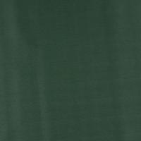 Nyx 877 Monstera green